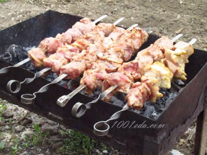 Rețetă pentru carne de porc shish kebab - shish kebab din carne de porc de la 1001 de produse alimentare