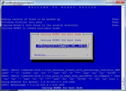 Copierea de rezervă a serverului linux