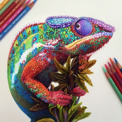 Малювання кольоровими олівцями - майстер-клас для початківців, школа малювання знайди себе