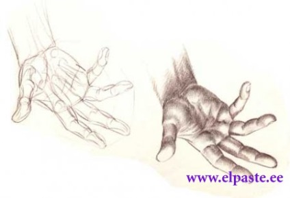 Desenând o mână