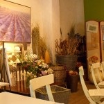 Desen pentru florar, studioul zara, atelier floristic