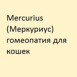 Блювота у кішок, лікування гомеопатією - все про котів і кішок з любов'ю