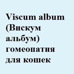 Блювота у кішок, лікування гомеопатією - все про котів і кішок з любов'ю