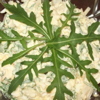 C tintahal saláta - több mint 173 receptet tintahal saláta fotók