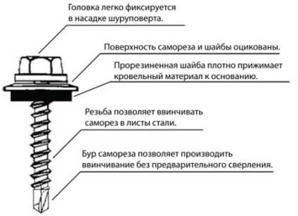 Саморізи для профнастилу розміри - для забору, для покрівлі