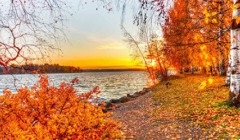 З чим порівнюється осінь в першому рядку вірша пастернаку «золота осінь»