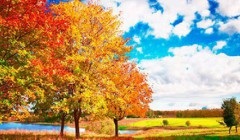 Összehasonlítani az őszi első sorban a vers Pasternak „Golden Autumn”