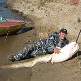 Секрети лову сома а чи правда що сом