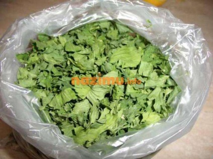 Селера сушений - фото рецепт заготовки стебел і зелені на зиму