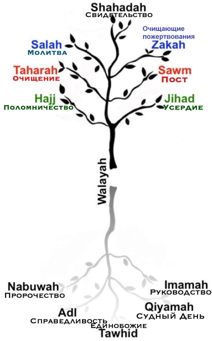 Șapte piloni ai islamului esoteric valayata - ismaili