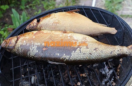 Сиг і омуль гарячого копчення - рецепт з покроковими фото