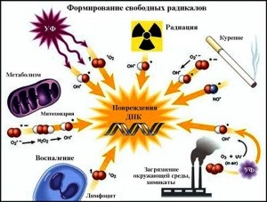 Cel mai puternic seleniu antioxidant, bada, vitamine, fitopreparate și multe altele