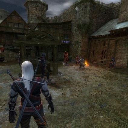 Descarcă jocul Witcher 1 free via torrent (gb)