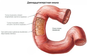 Câți ani trăiesc cu cancer al intestinului după și fără intervenție chirurgicală