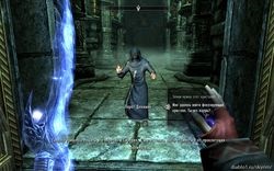 Skyrim - Colegiul din Winterhold (trecere), cum să adere la Colegiu