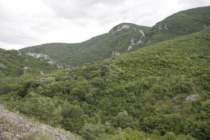 Sokobanya de ce se străduiesc aici, a ta, Serbia