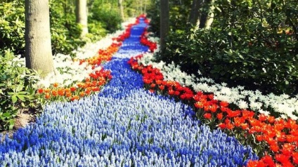 Létrehozása dekoratív patakok az ország virágok és kövek a kezüket