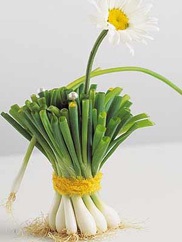 Створення квіткових композиції за допомогою простих підручних засобів