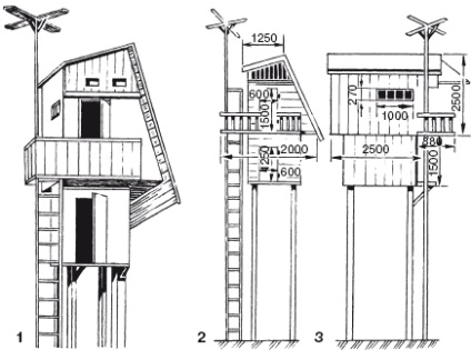 Construirea unui proiect de porumbel, desen, aranjament