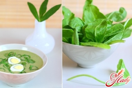Spenót püré leves recept (spenót) Püré spenót leves recept