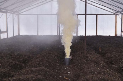 Grenada de fum de tutun pentru sere gefest scopul, aplicarea, diferențele de la sulfuric, fotografii, video