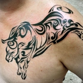 Tatuaj de tauri