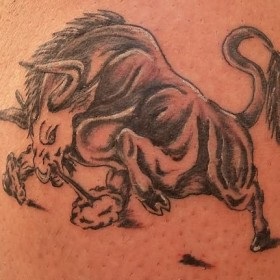 Tatuaj de tauri