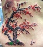 Tatuaj Sakura