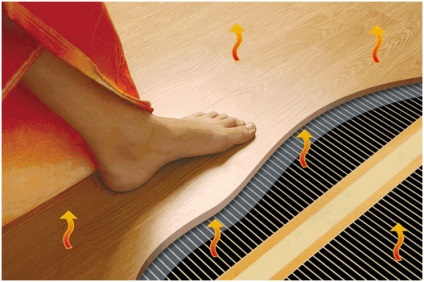 Cea mai caldă podea în apartament - cum să se ocupe de ea