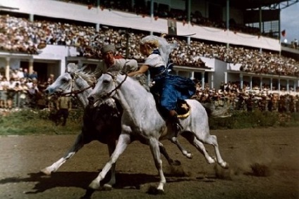 Терская порода коня фото і відео, характеристики і опис, історія