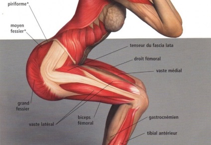 Tehnica de a face sit-up-uri dreapta - verificați-vă!