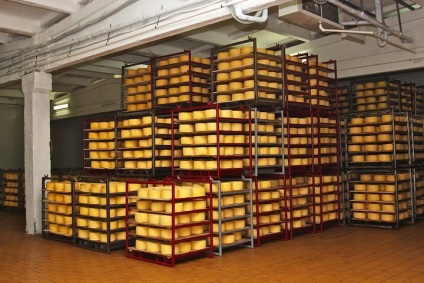 Tehnologia producției de brânză în vrac