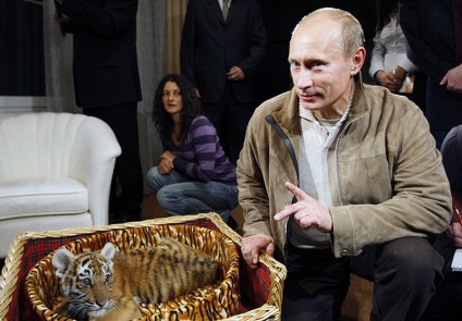 Тигровий форум в Петербурзі - новини в фотографіях