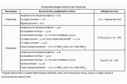 Paradicsom melegházban zhiruyut okozza, és mit kell csinálni (videó)