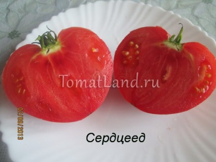 Tomato smoothie отзывы, фото, урожайность