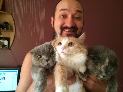 Уфімцев і їх кішки дня котиків присвячується, likes