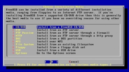 Instalarea serviciului freebsd