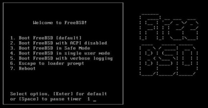 установка freebsd