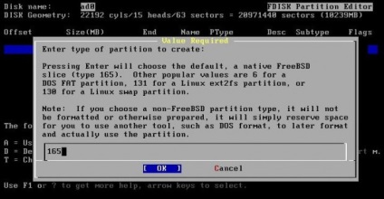 Instalarea serviciului freebsd