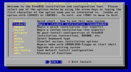 Instalarea serviciului freebsd