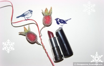 Зволожуюча губна помада-крем yves rocher couleurs nature moisturizing cream lipstick верб роше