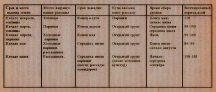 Види капусти особливості, схеми і терміни висадки розсади