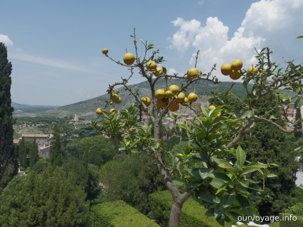 Villa d'Este (vilă d este) Roma italia, maktur