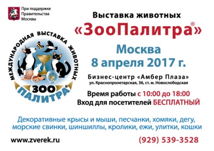 Виставка тварин «зоопалітра», 8 квітня 2017 року, Амбер плаза