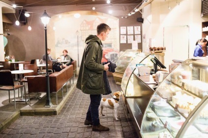 În care sunt permise cafenele cu un câine