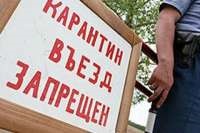 A Kalachevsky területen karanténba bőrcsomósodáskór, a hírügynökség