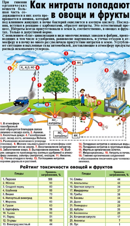 В росії тисячі тонн отруйних овочів і фруктів - гола правда