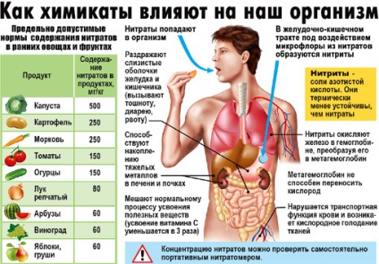 Oroszországban több ezer tonna mérgező gyümölcsöt és zöldséget - a meztelen igazság