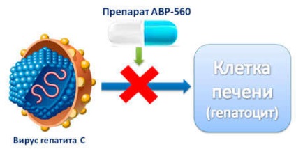 Toate articolele cu eticheta hepatită c - au făcut-o cu noi