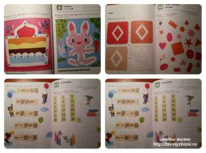 A teljes igazságot a sorozat notebook kumon készül az iskolába, az élet virágok (kumon) A teljes igazságot a sorozat notebook kumon készül az iskolába, az élet, virág